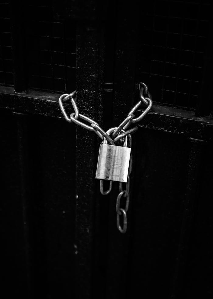 services-02 Black and white photo of a metal chain and lock securing a black gate, symbolizing security and protection.